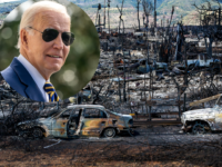 Hawaii Wildfire Death Toll Hits 100+ as Biden Flags a Visit 'Soon'